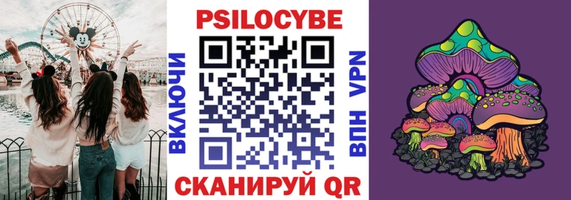 купить наркоту  Хилок  Галлюциногенные грибы прущие грибы 